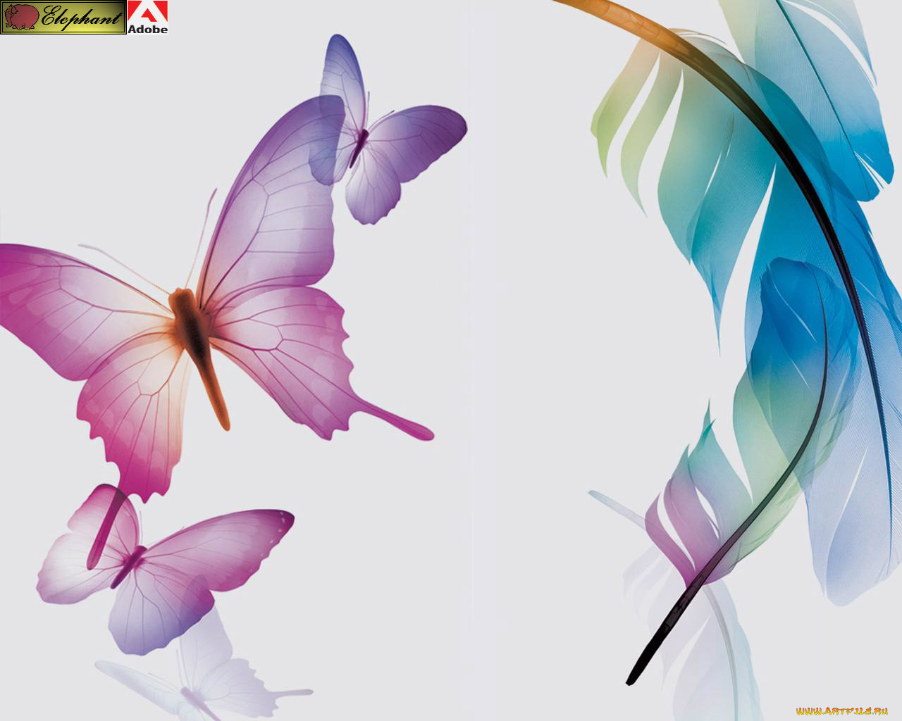 adobe, photoshop, 